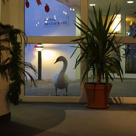 Seehotel Luisenhof ファルケンハーゲン  エクステリア 写真